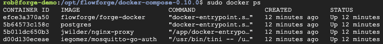 Docker PS output